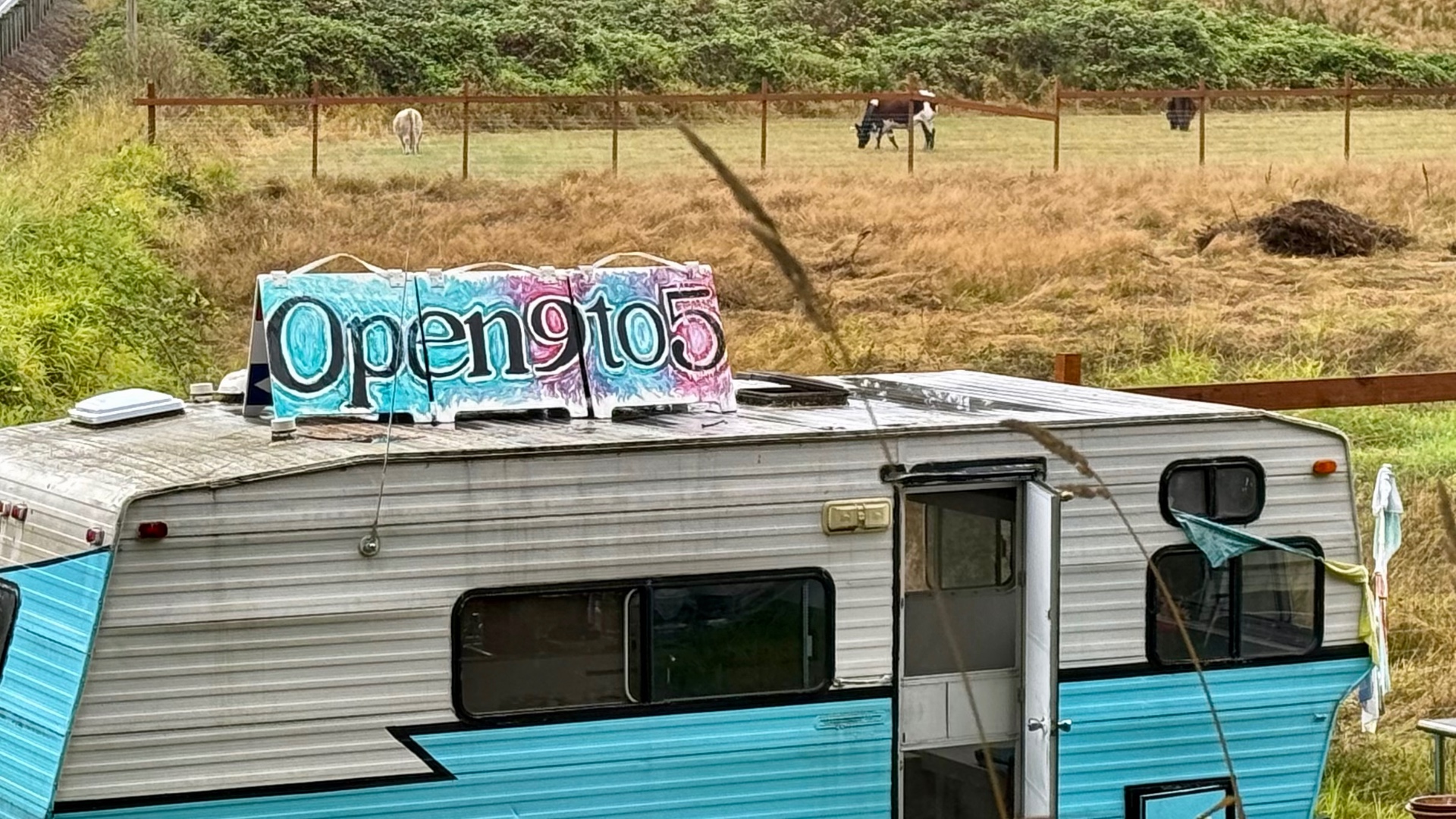 A turquoise and white vintage trailer with an 'Open 9 to 5' roof sign, with cows grazing in a field behind a wooden fence
