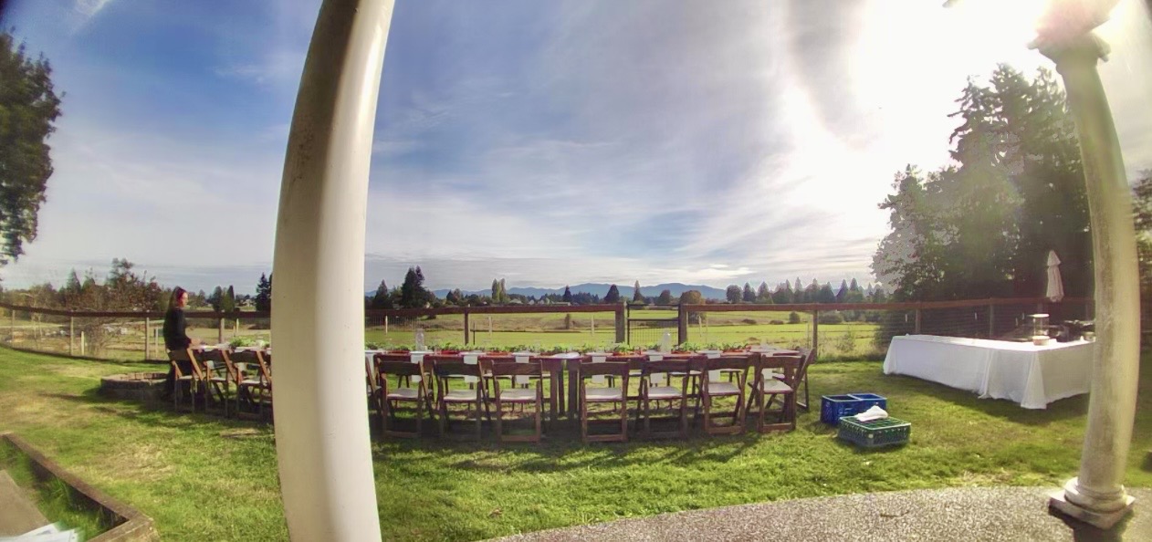 Long wooden reception tables with white-cushioned chairs set on the lawn, the farm pasture and distant mountains under a wide sky beyond