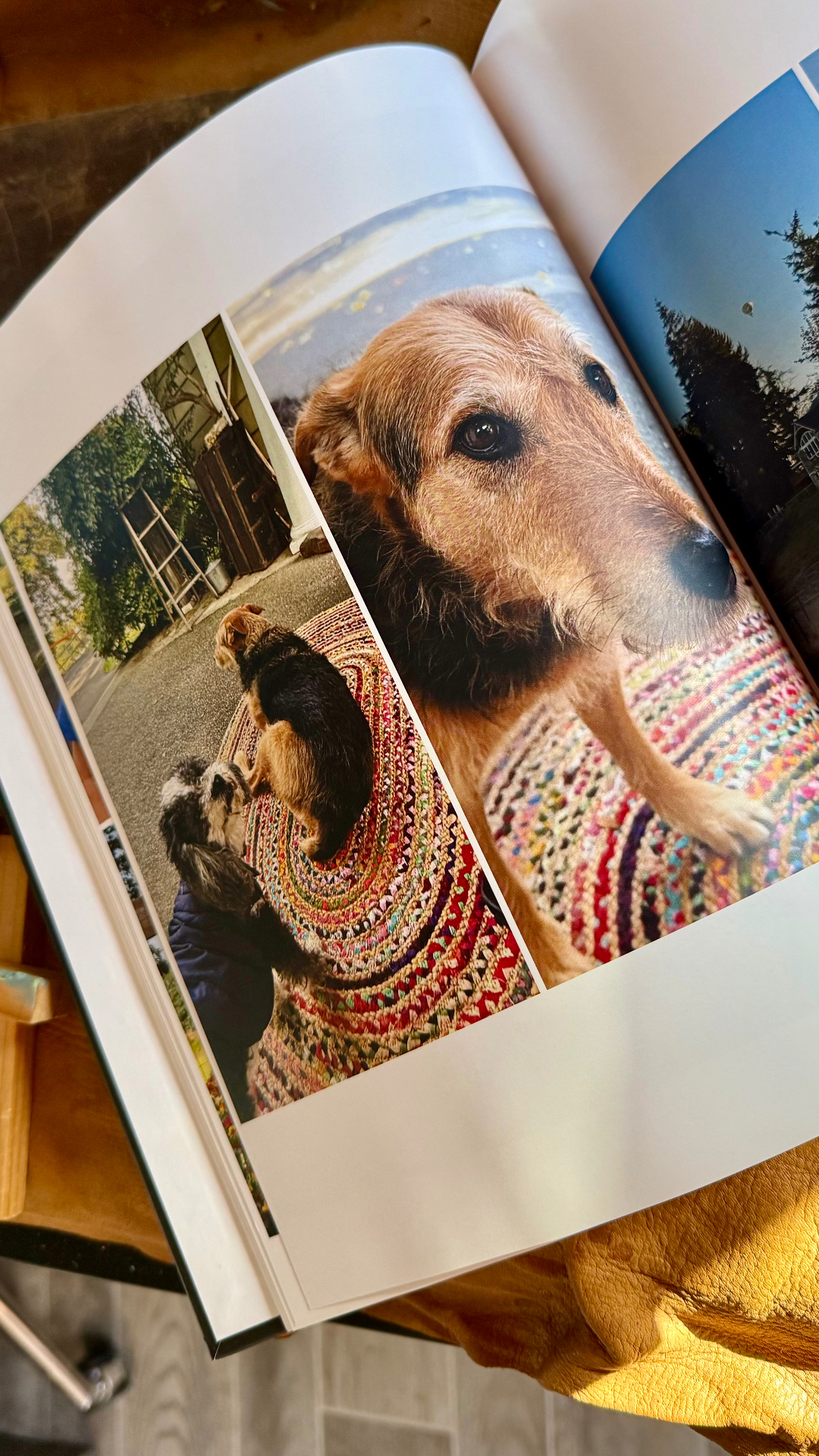 An open album spread showing two dogs sitting on a colorful braided rug on the driveway, with a close-up of one dog's face