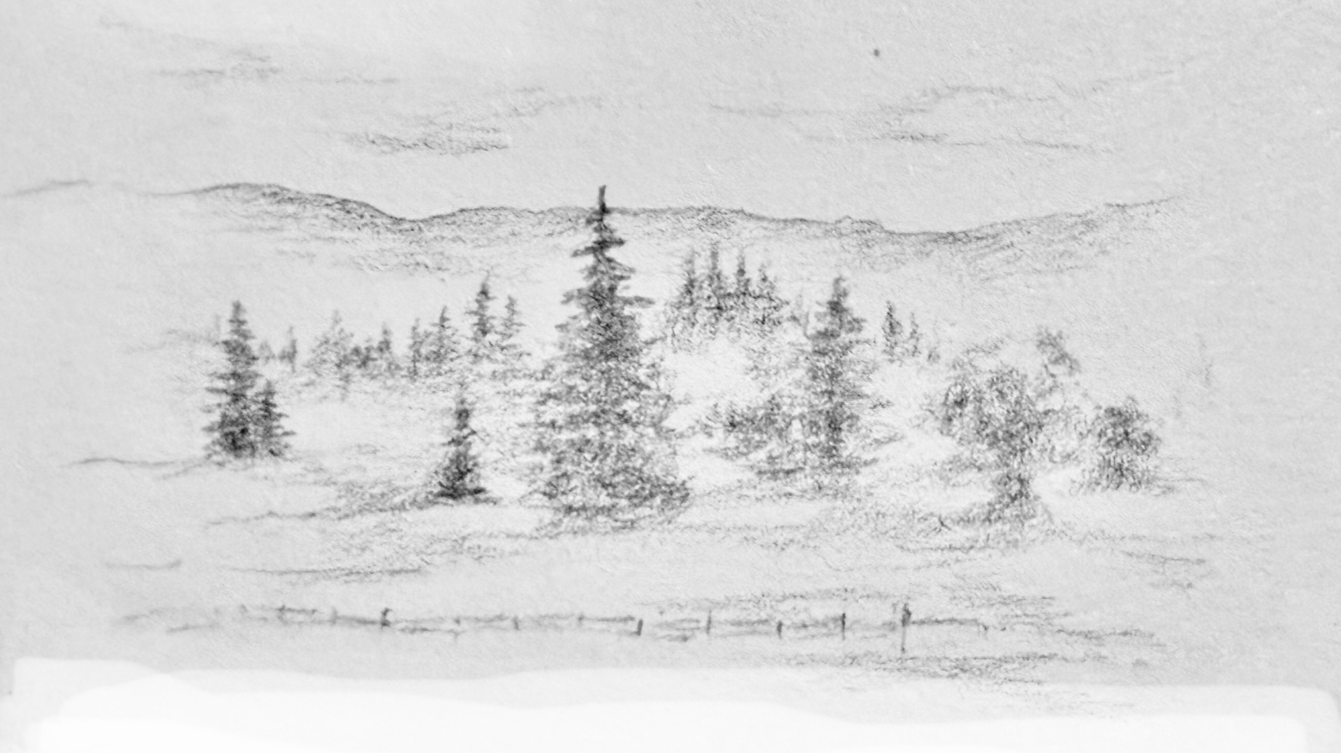 A pencil sketch on textured paper of a misty field with a tall evergreen tree and smaller trees, low fog settled between them, a faint fence line in the foreground and distant hills behind