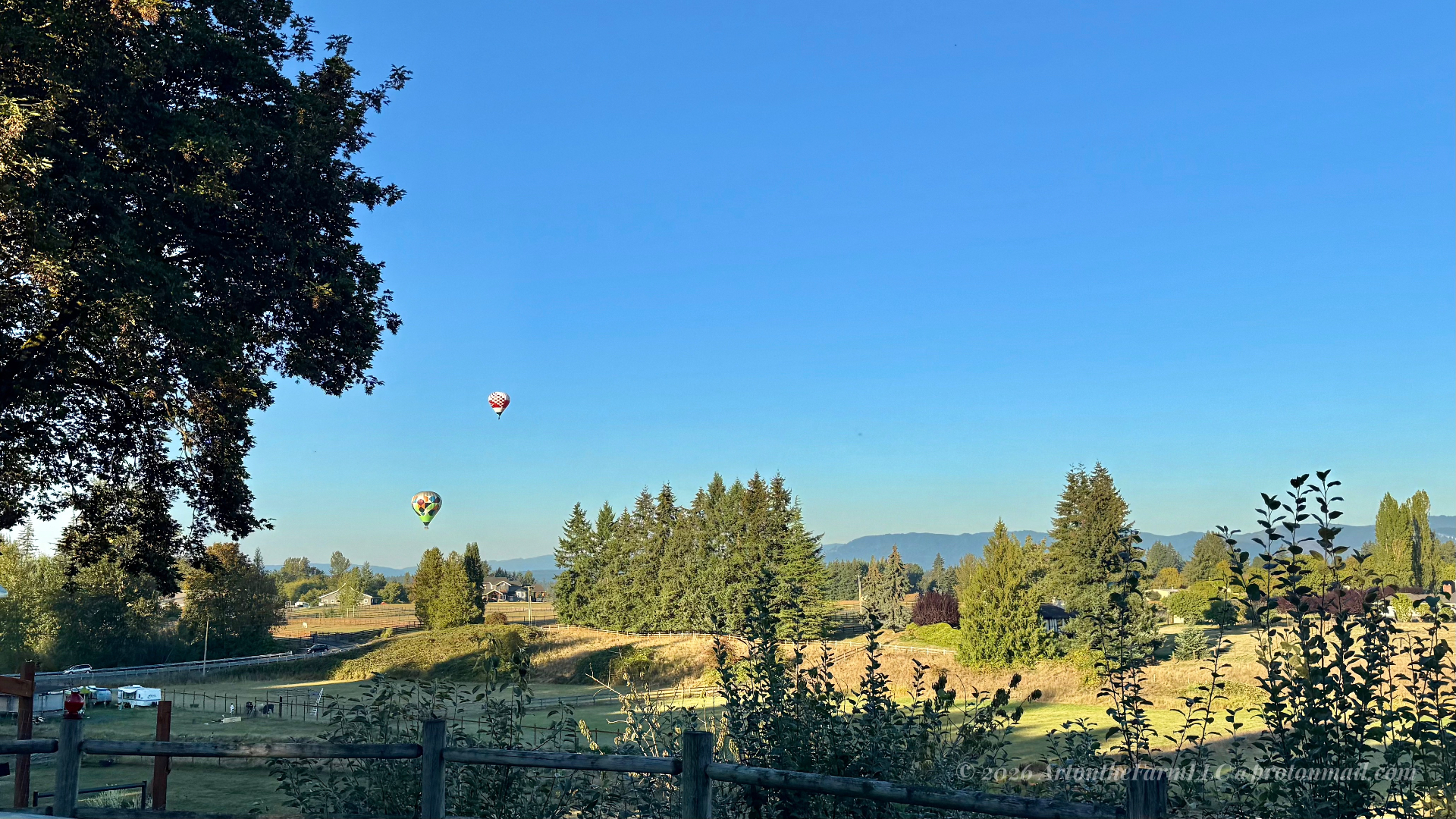 A wide view of fenced paddocks and stands of evergreen trees, with two distant hot air balloons in the sky