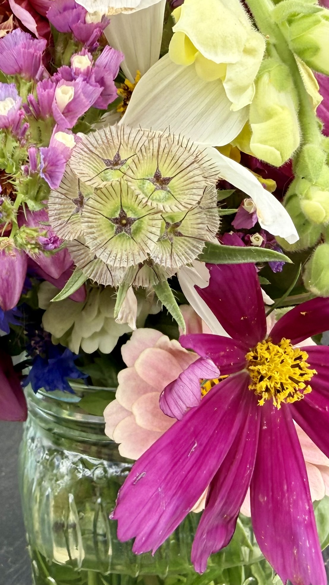 An extreme close-up of a cut-flower arrangement in a glass jar, featuring a fuchsia cosmos flower, a pale spherical scabiosa drumstick seed head, and clusters of purple and white statice