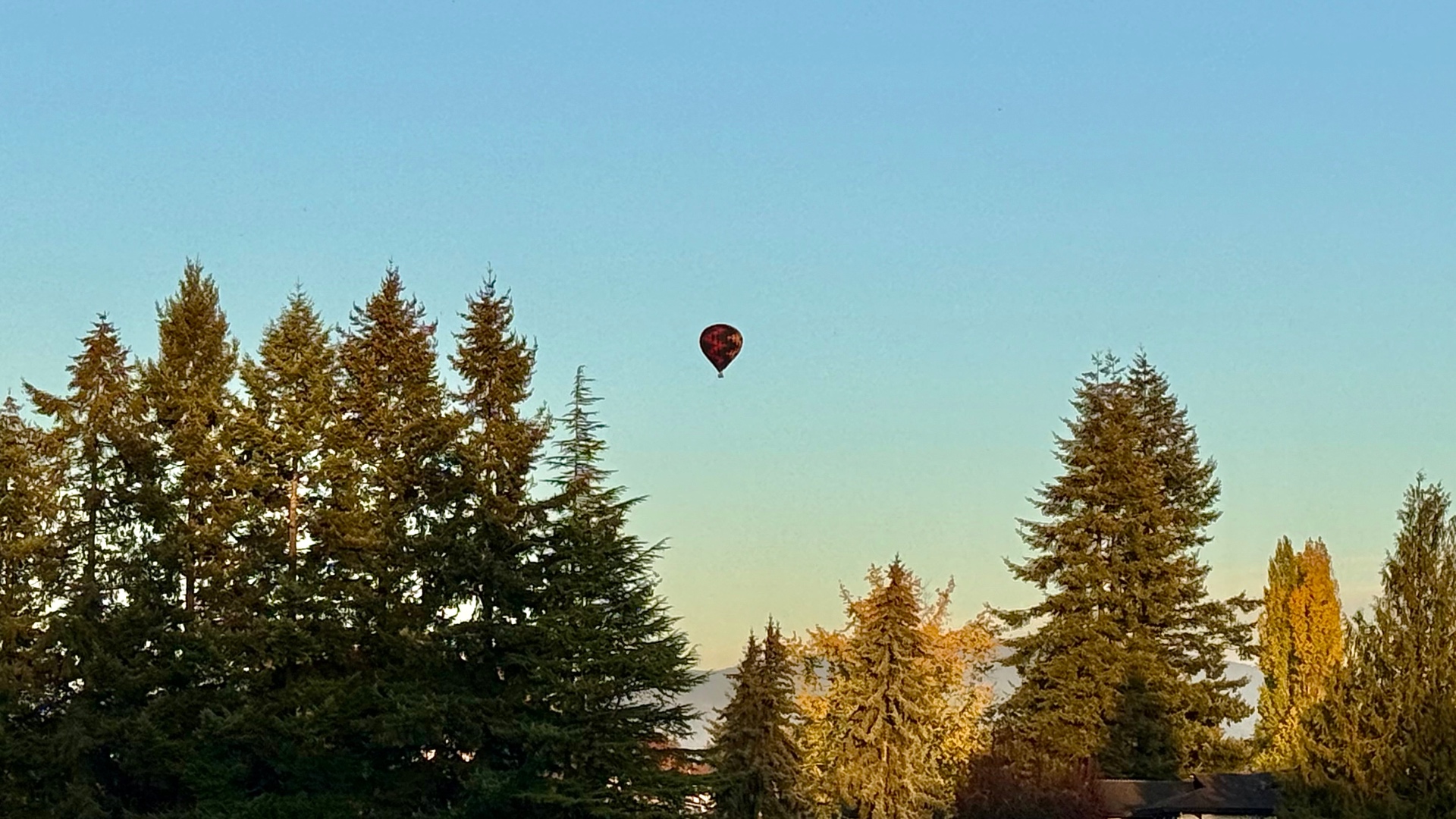 A patterned hot air balloon drifting in a pale blue sky above a row of evergreen and golden-topped trees