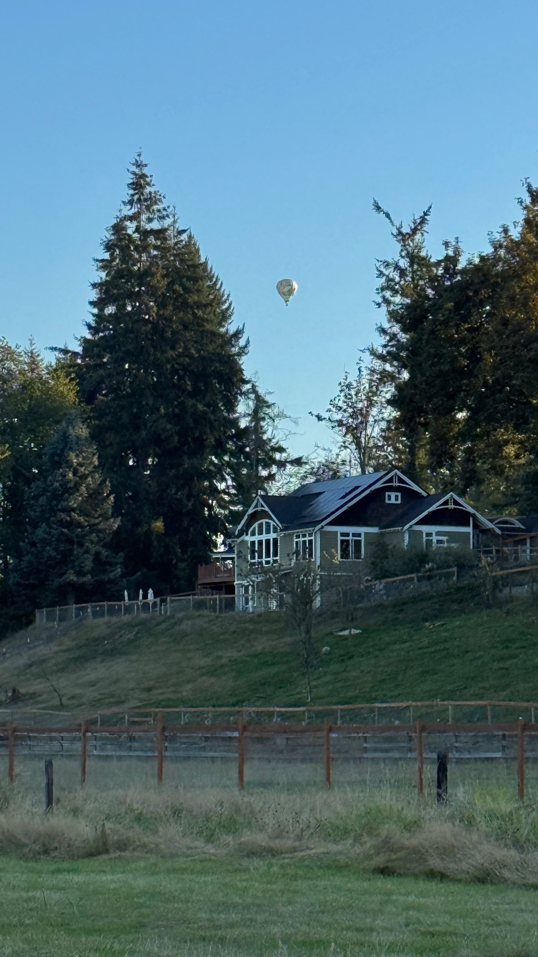 A vertical view of a house on a grassy hill framed by tall evergreen trees, with a single small hot air balloon floating in the clear pale-blue sky above, late-afternoon light