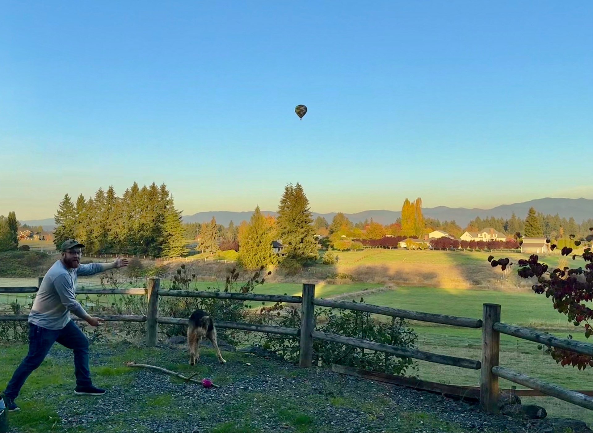 A man in a cap leaning into a throw on the gravel while a German Shepherd dog goes down after a stick and ball by a wooden split-rail fence, with a hot air balloon floating in the blue sky above the green valley