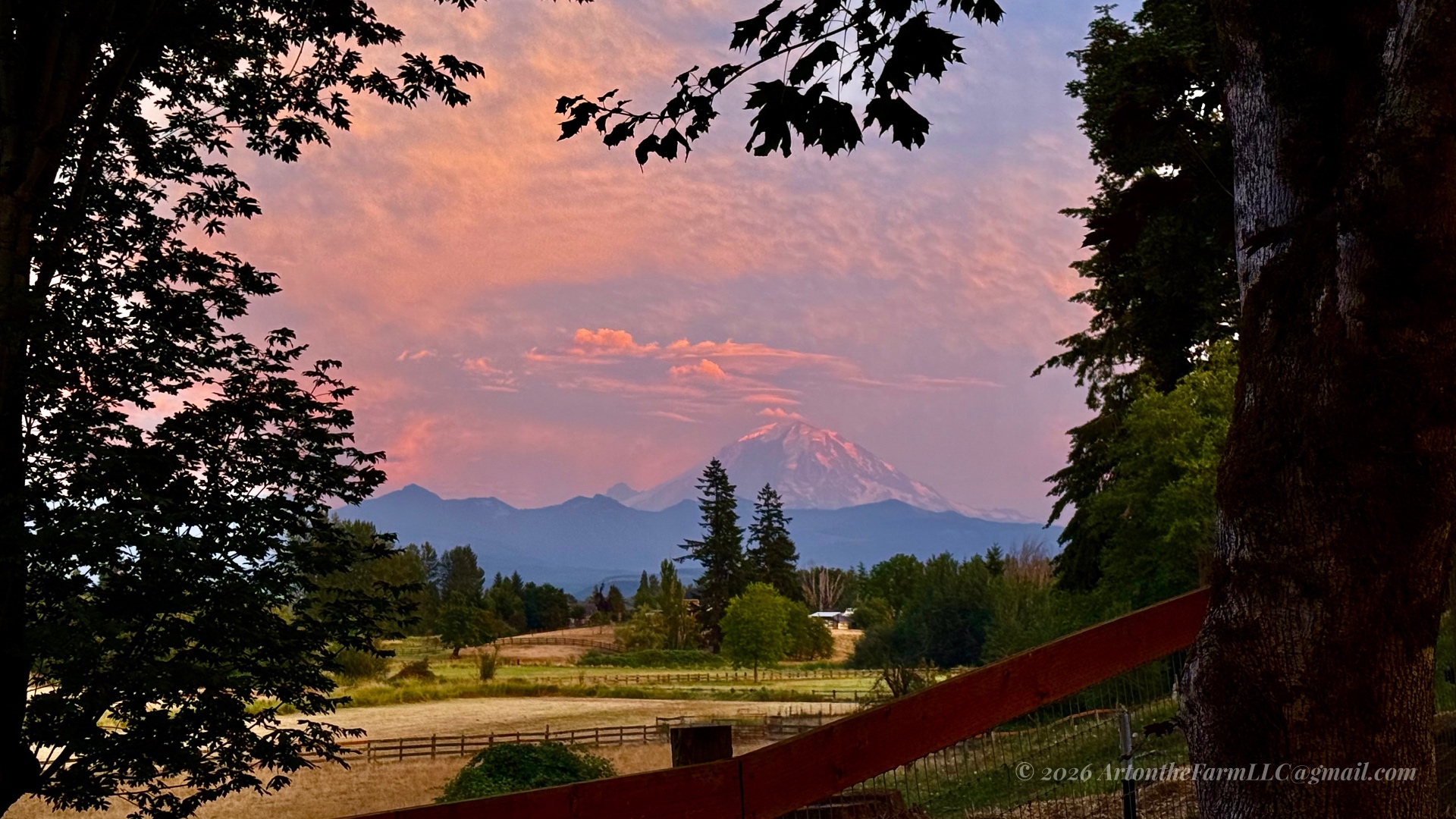 A snow-capped mountain peak catching soft pink light at sunset, framed by tree silhouettes, with orange and pink textured clouds over golden fields