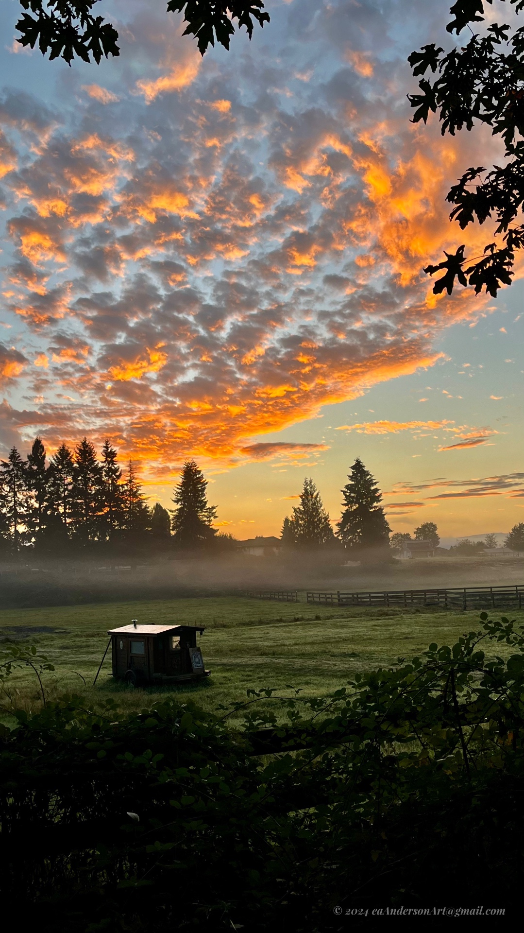 A small dark wooden cabin on wheels parked in a green pasture at sunrise, framed by dark foliage, with mist and evergreen trees behind it and a colorful sky above
