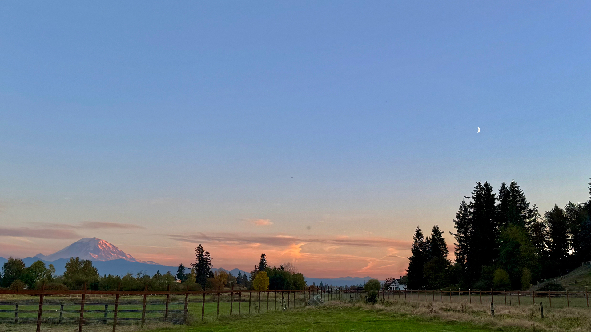 A slender crescent moon high in a blue and peach twilight sky above a green pasture, with Mount Rainier glowing pink on the far left horizon