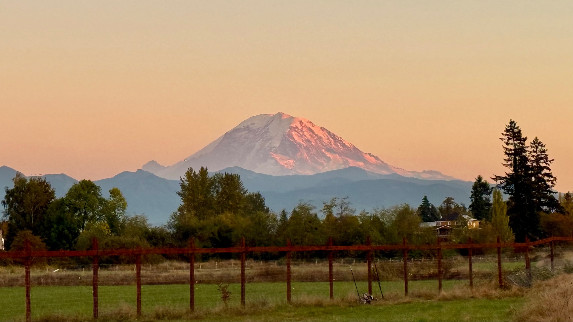 A close view of Mount Rainier at sunset, snowfields and rock faces lit pink and orange above layered blue-gray foothills, with trees and a fence line in the foreground