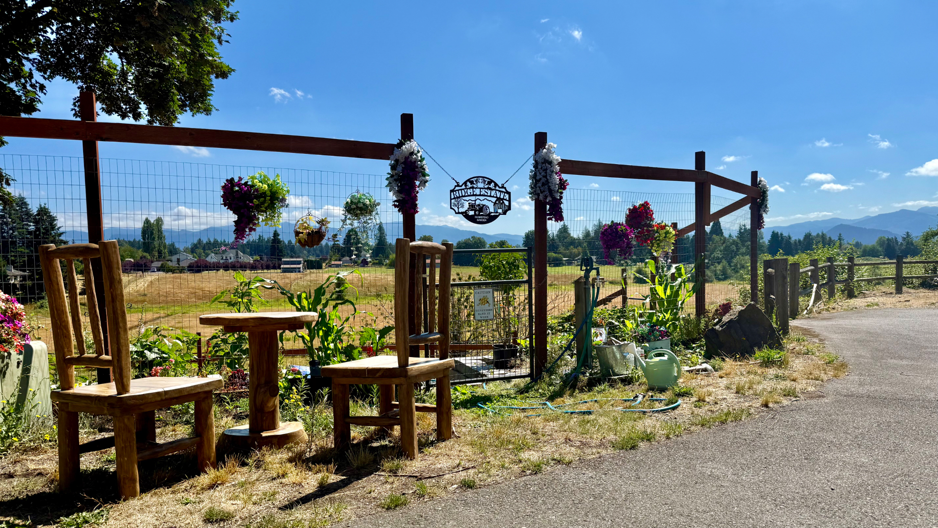 A garden entrance with two rustic wooden chairs, a wire-mesh fence and black gate, hanging petunia baskets, corn growing inside, and distant blue mountains under a bright sky