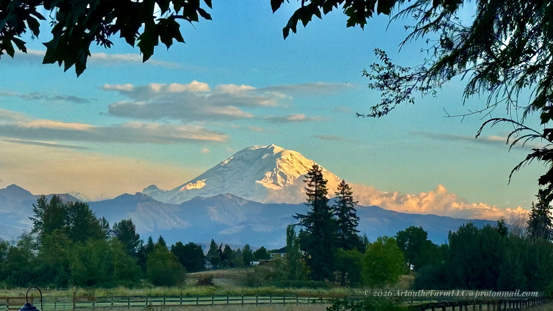 A snow-covered mountain peak glowing gold at sunset, seen over a wooden fence and tree line, with blue sky and golden clouds at the farm