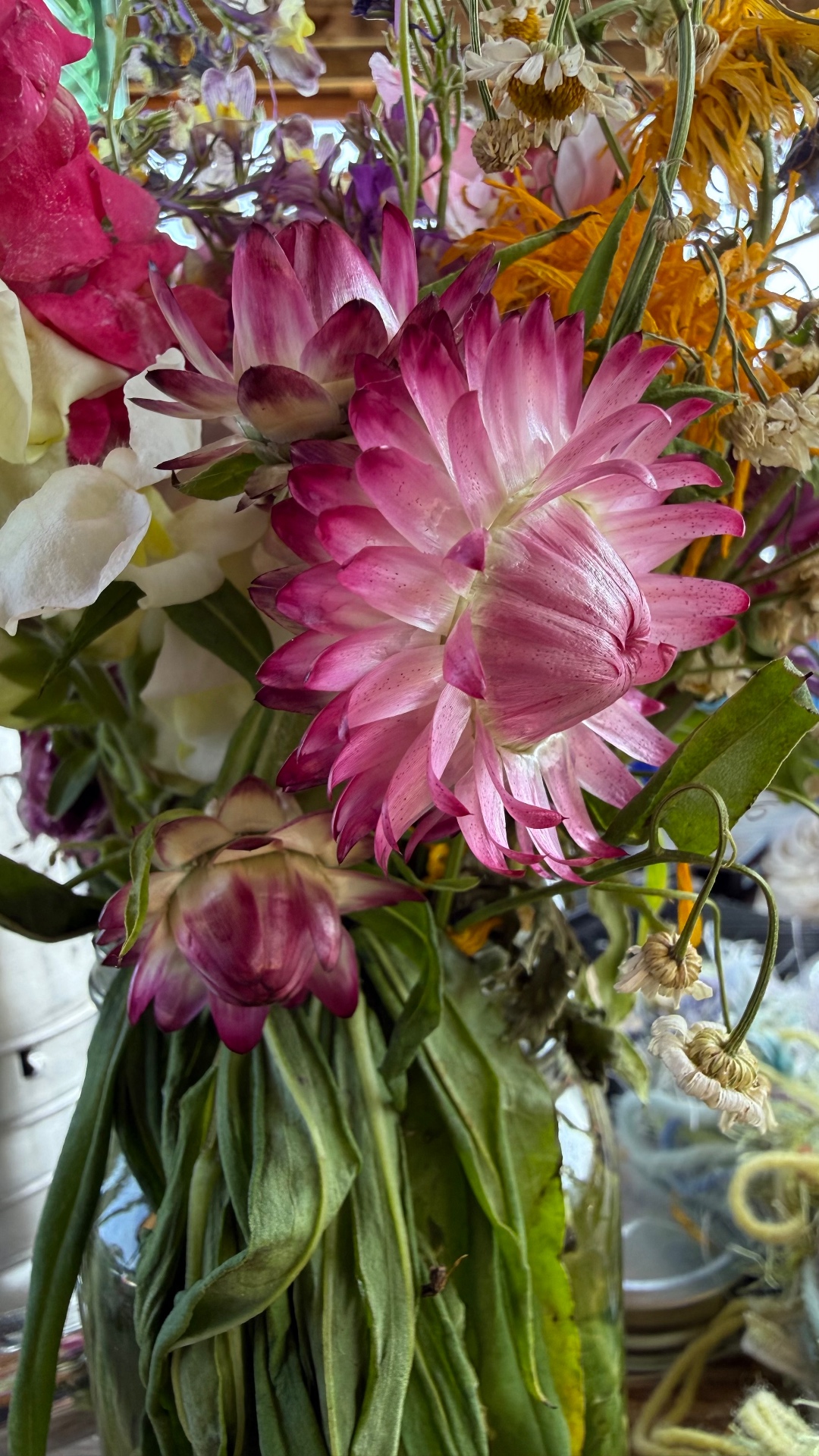 A close-up of a harvested bouquet in a clear glass jar, with a large magenta-to-pink strawflower bloom, white daisies with yellow centers, and clusters of small purple blossoms