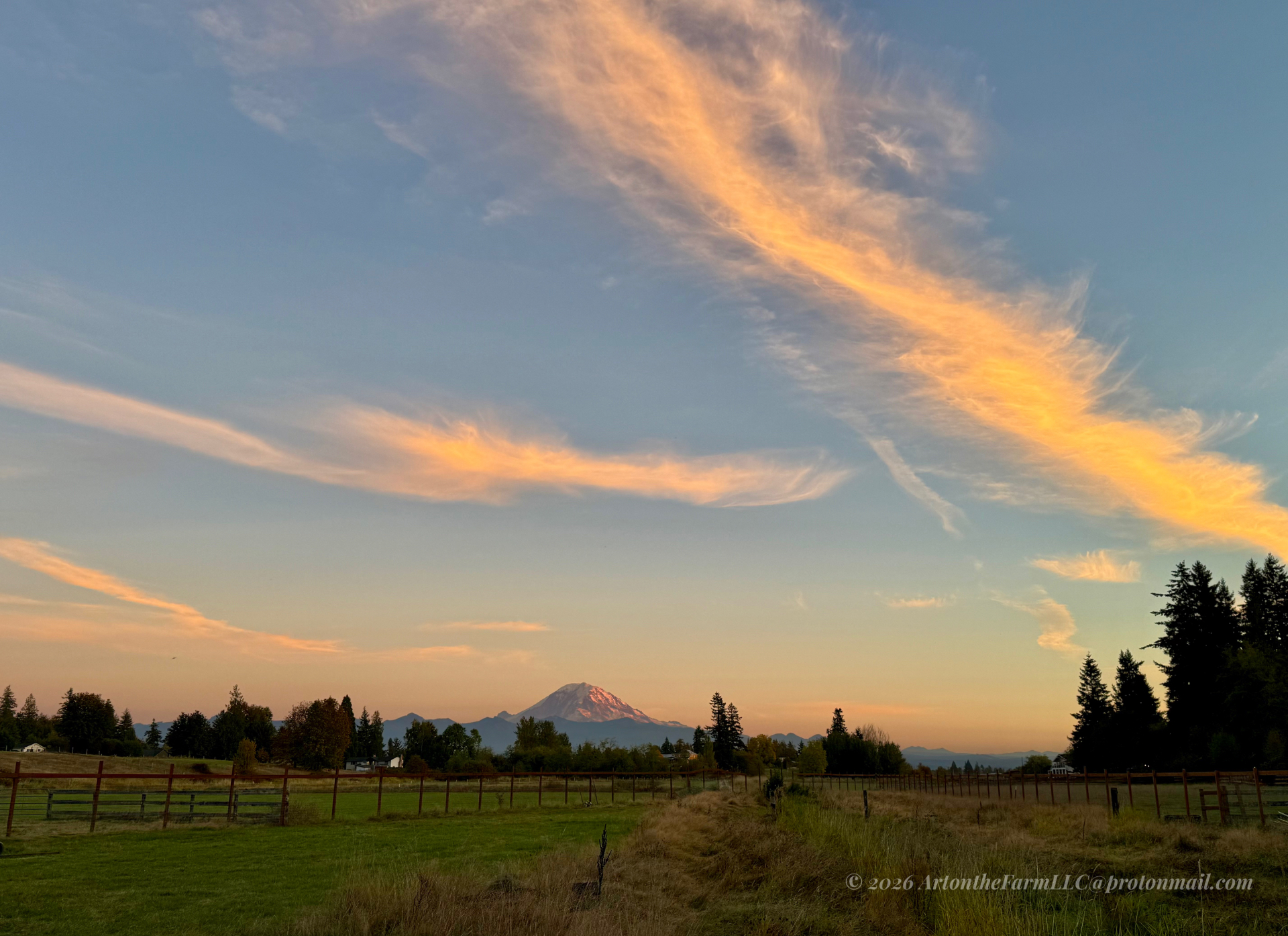 Golden streaks of cloud over the pasture with Mount Rainier in the distance